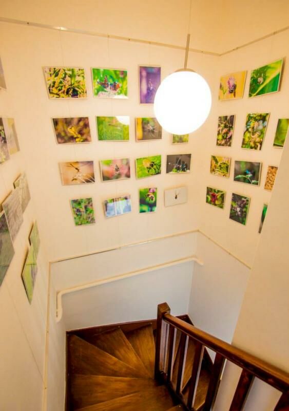 Planète Lechat Gîtes de France Aube