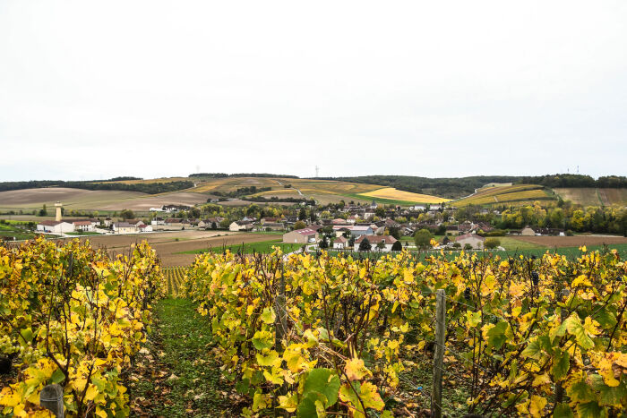 Champagne Ch. Marin.jpg Champagne Ch. Marin - Franz Pfifferling