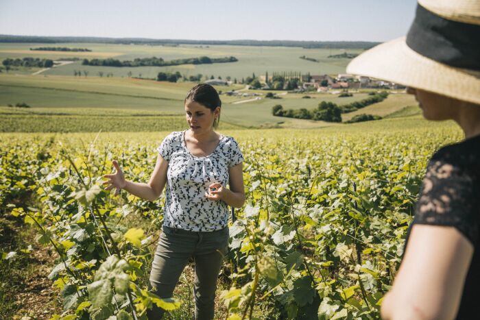 Champagne Dumont.jpg Champagne Dumont