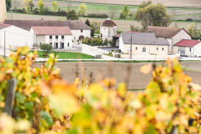 Champagne Ch. Marin.jpg Champagne Ch. Marin - Franz Pfifferling