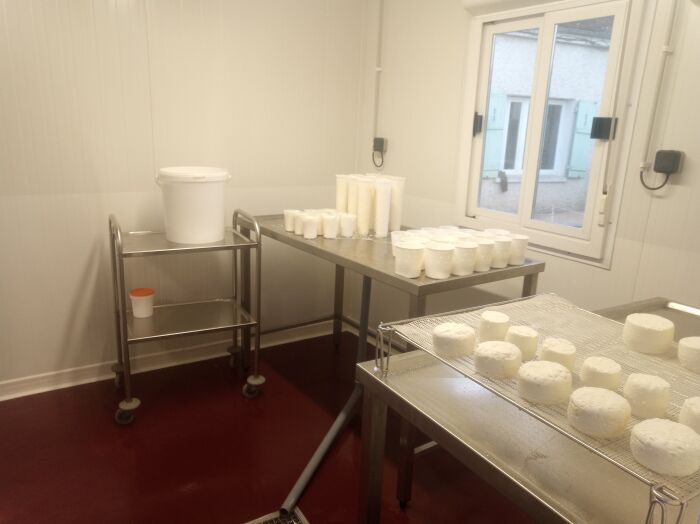 Les Chèvres de Sophie ©Sophie Lockyer