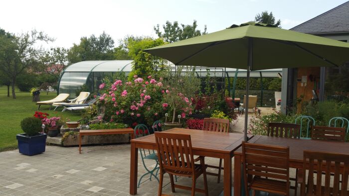 20170826_170418 (1).jpg LE SAULE FLEURI