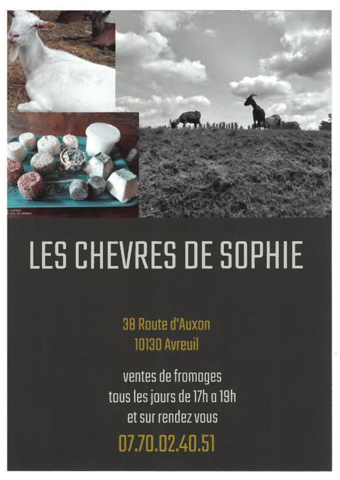 Les Chèvres de Sophie ©Sophie Lockyer