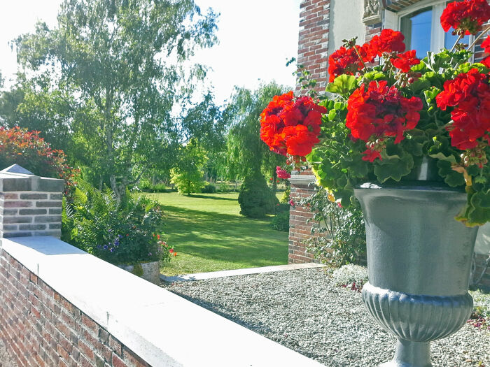 saulefleuri2014.jpg LE SAULE FLEURI