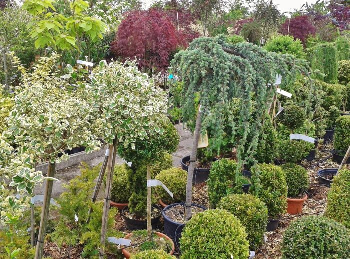 nursery-373038_1280.jpg © cocoparisienne - Pixabay