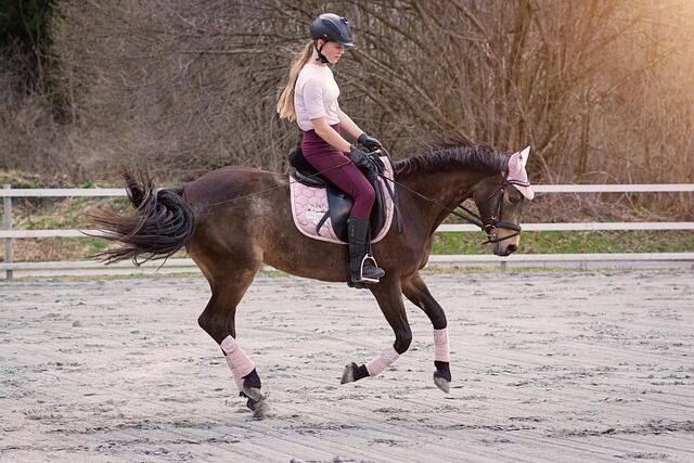 pezibear-horseback-riding-6218062_640.jpg Pezibear - pixabay