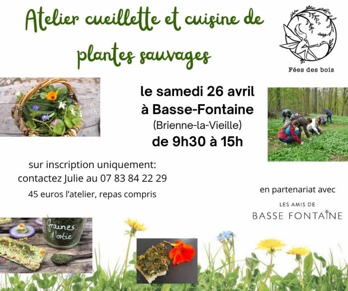2025 04 26 - Atelier cuisine de plantes sauvages - Basse-Fontaine.jpg © Fées des Bois