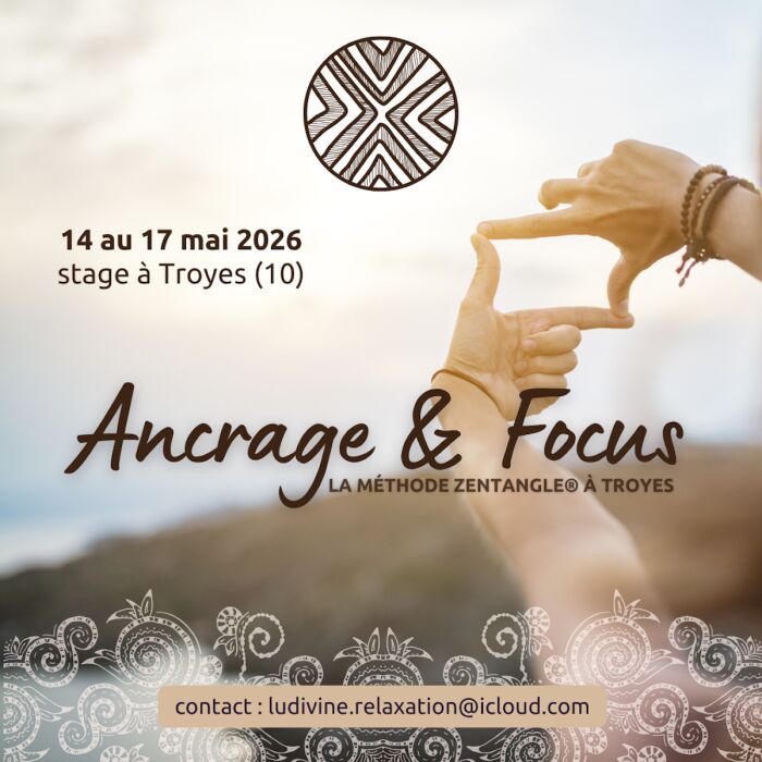 affiche ancrage et focus Ludivine Schott