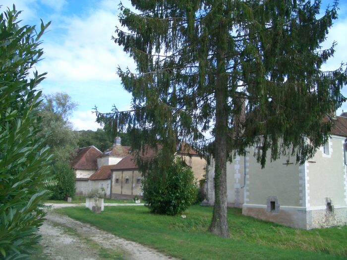 Parc.JPG Château des Roises