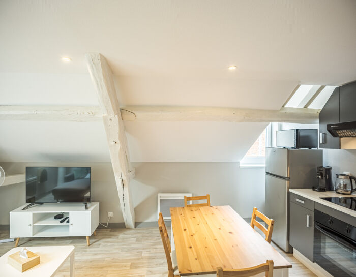 Le Cosy Tannerie_Troyes © . Bumann - Le Cosy Tannerie