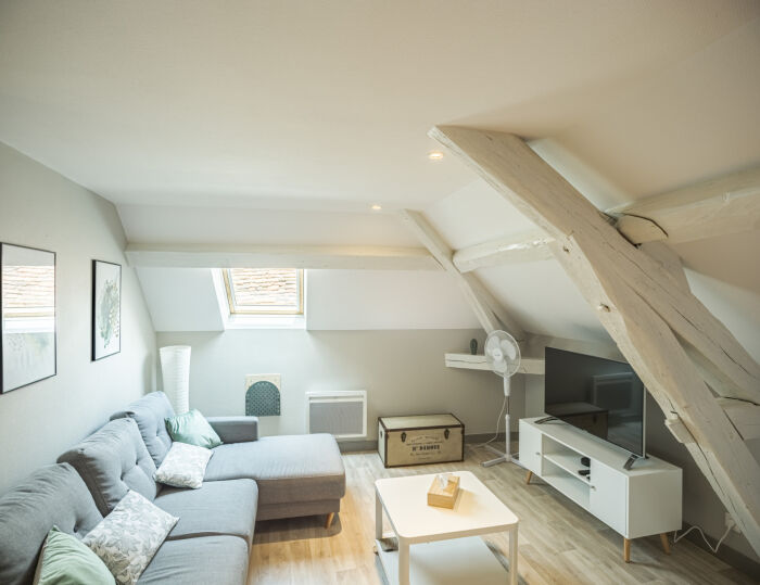 Le Cosy Tannerie_Troyes © . Bumann - Le Cosy Tannerie